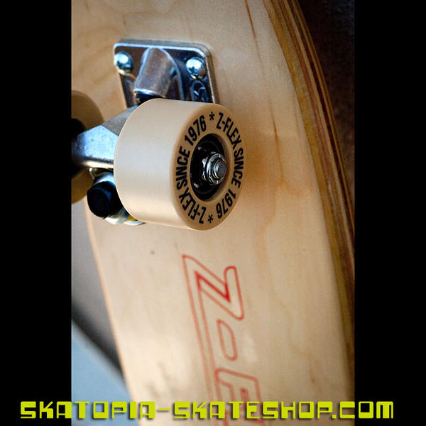 Z-Flex Mr Chipper complete skateboard 70's style