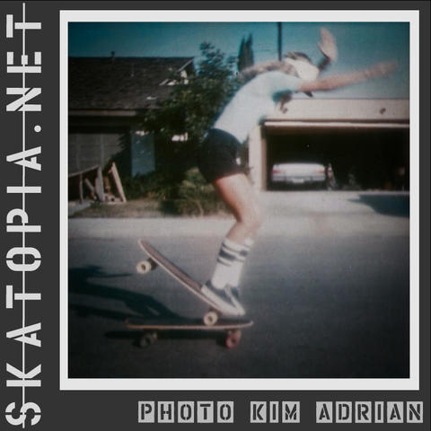 skatopia.net skateboard image