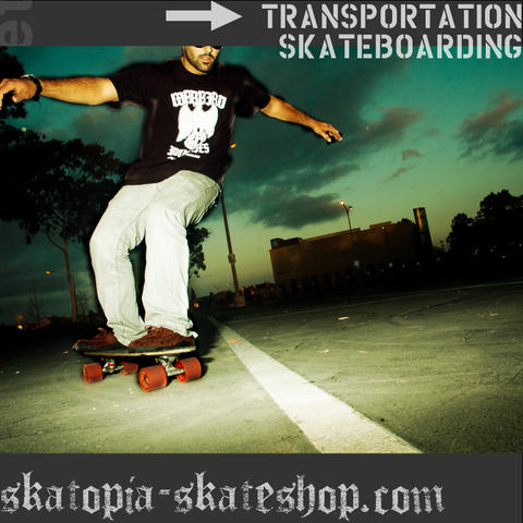 skatopia.net skateboard image
