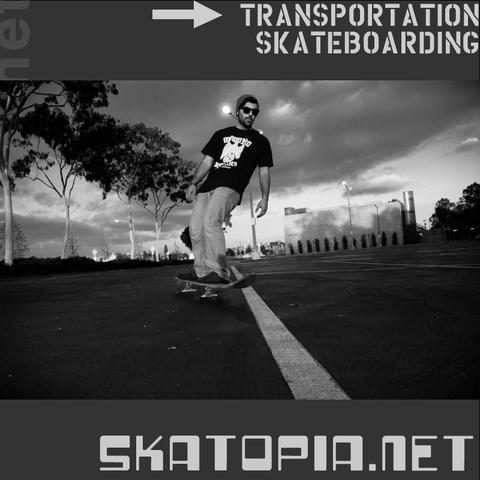 skatopia.net skateboard image