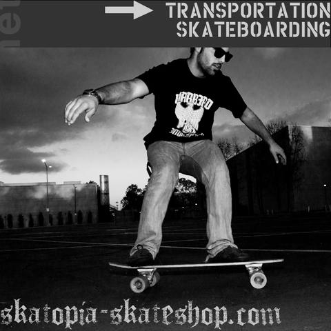 skatopia.net skateboard image