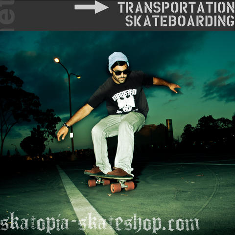skatopia.net skateboard image